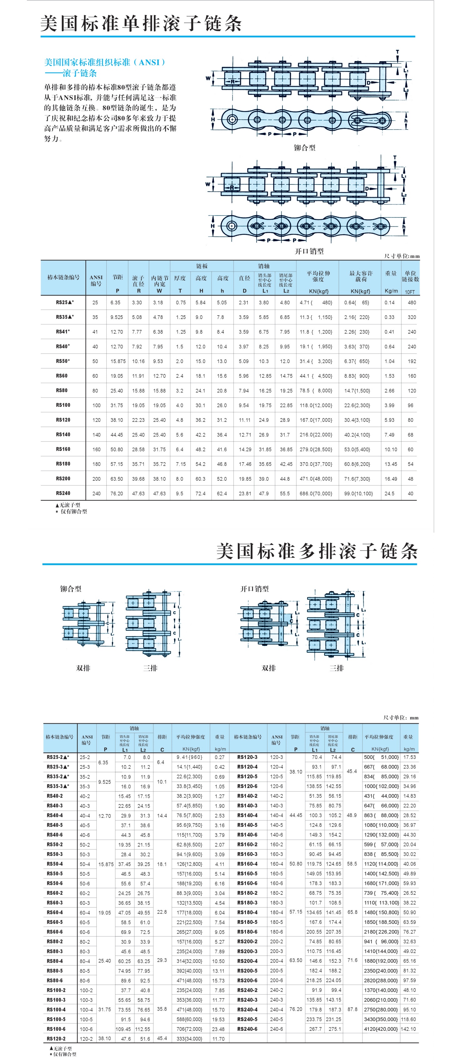 美國標準單排滾于鏈分_01(1)_看圖王.jpg